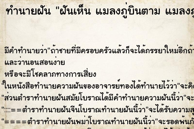 ทำนายฝันทำนายฝันฝันเห็นแมลงภู่บินตามแมลงภู่บินตาม